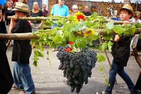 Фестиваль молодого вина у Франції — Beaujolais Nouveau: свято врожаю та вина