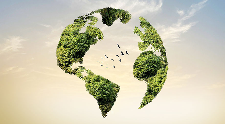 Глобальні кліматичні зміни: листопад 2025 і очікування перед COP30