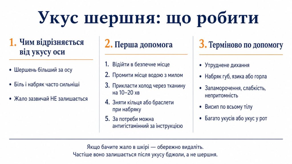 Ужалив шершень: що робити одразу, чи залишається жало та коли викликати 103